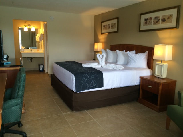 King Bedroom