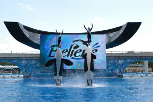 sea-world-product-description